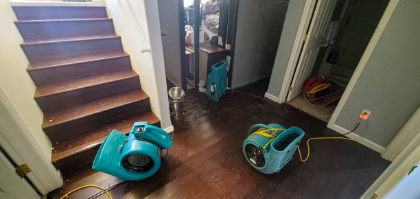 Best Commercial water damage restoration  in Ridgeville, SC