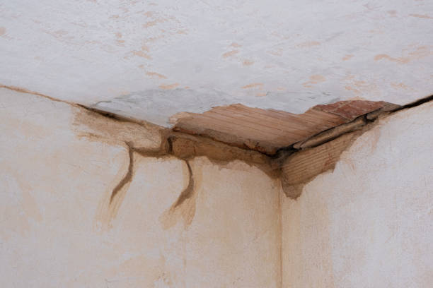 Best Flood restoration services  in Ridgeville, SC