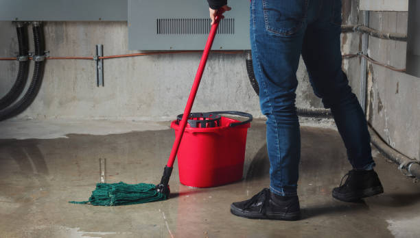 Best Sewage cleanup and water damage restoration  in Ridgeville, SC