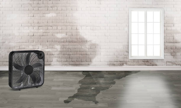 Best Fire Damage Restoration  in Ridgeville, SC