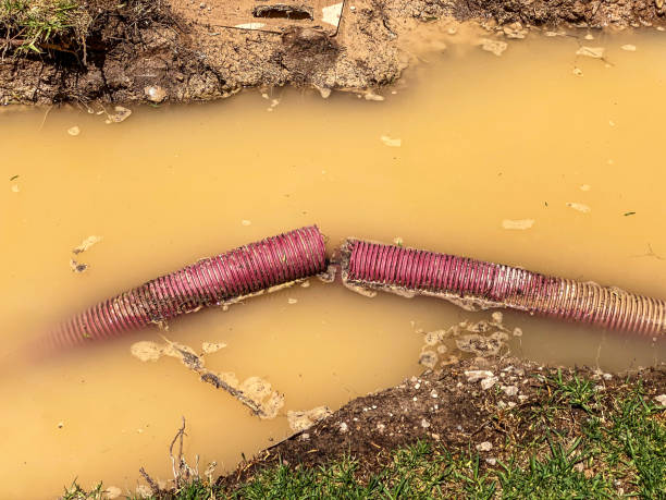 Best Emergency water damage restoration  in Ridgeville, SC